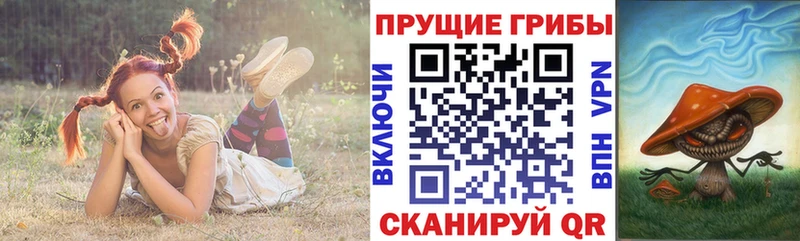 Псилоцибиновые грибы ЛСД Рузаевка
