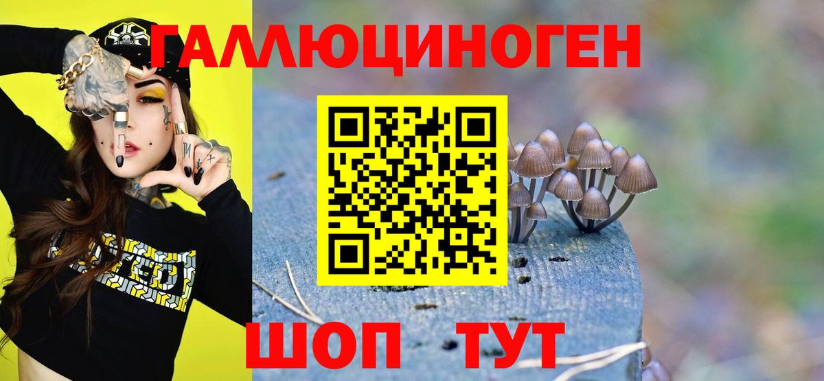 Псилоцибиновые грибы Psilocybe Рузаевка