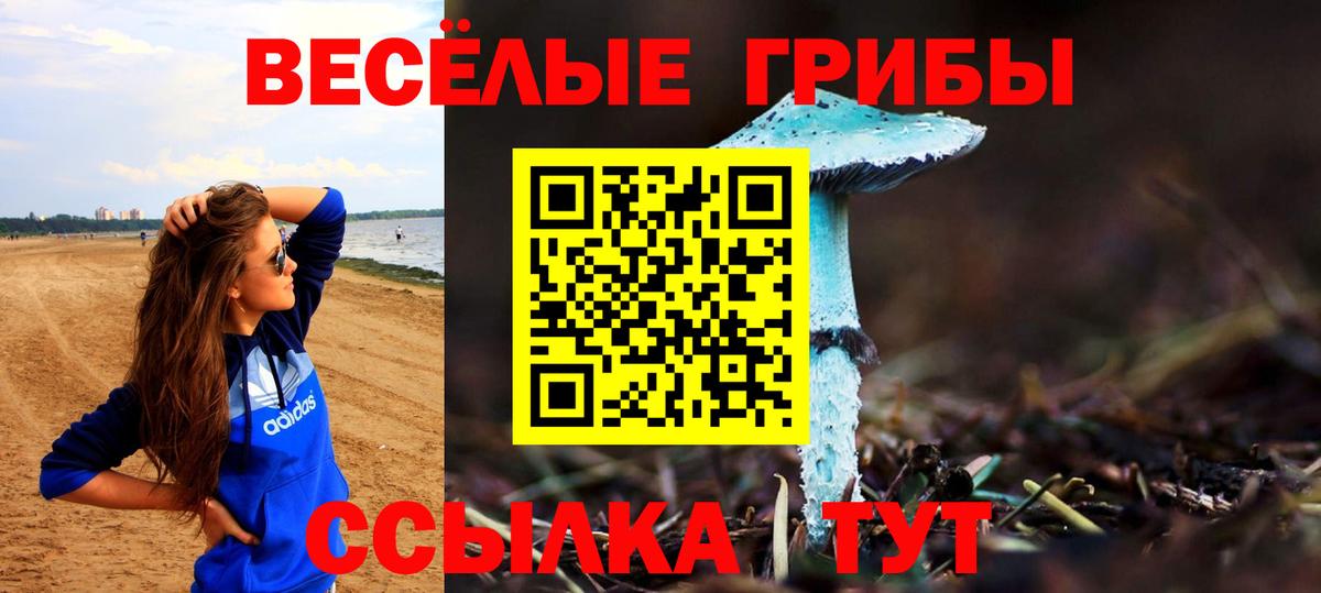 Рузаевка  Галлюциногенные грибы Psilocybe  Вход с VPN 