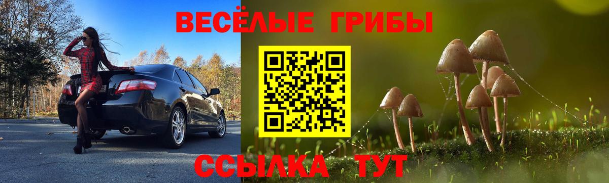 Галлюциногенные грибы Psilocybine cubensis  как найти закладки  Рузаевка  Галлюциногенные грибы ЛСД 